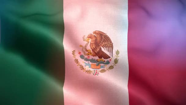 Close Bandeira México Acenando Com Luzes — Vídeo de Stock
