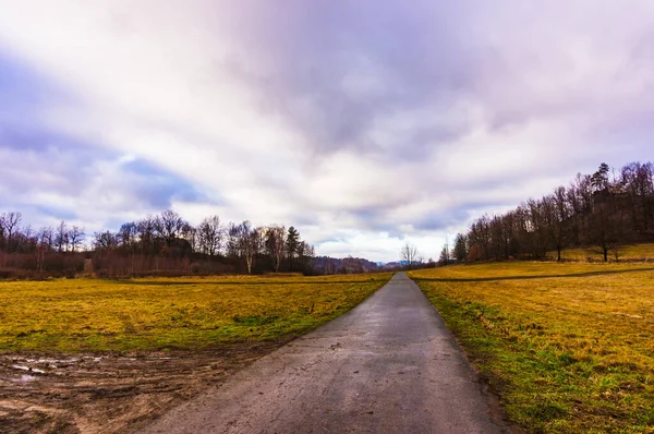 Grönt Fält Den Kalla Vintersäsongen Polan — Stockfoto