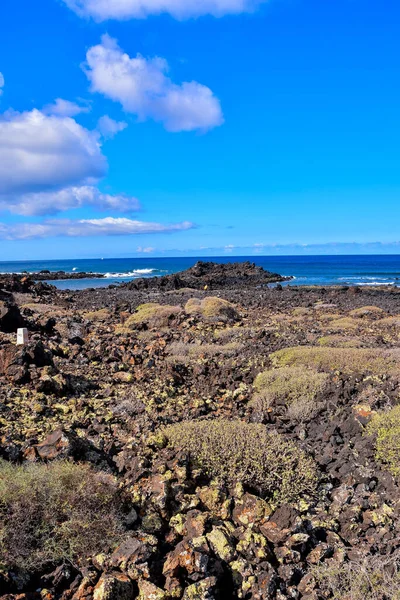 Beautiful Landscape Tropical Volcanic Canary Islands Spain — Stock Photo, Image