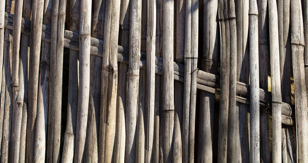 Närbild Bild Bambu Stick Bakgrund — Stockfoto