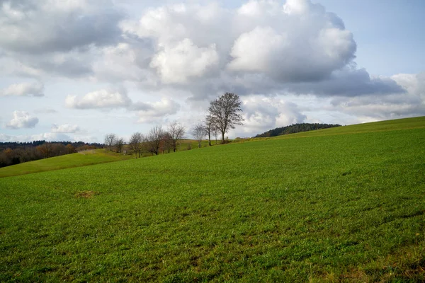 Krásná Zelená Krajina Vzácnými Stromy Mraky Pozadí — Stock fotografie