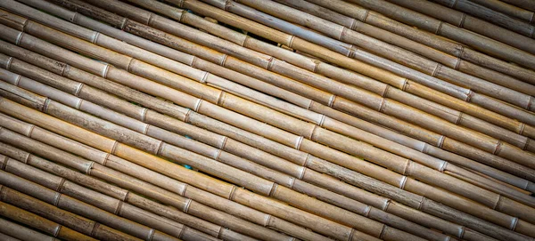 Närbild Bild Bambu Stick Bakgrund — Stockfoto