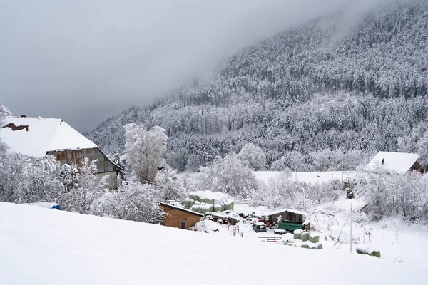 Landhäuser Und Ein Wald Auf Einem Schneebedeckten Hügel Winter — Stockfoto