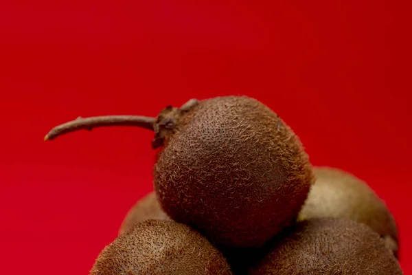 Primer Plano Macro Con Pequeño Kiwi Actinidia Deliciosa Setosa Especies — Foto de Stock