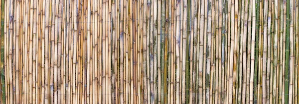 Panoramabild Bambu Stick Bakgrund — Stockfoto