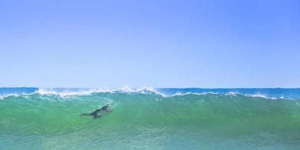 海の中で孤独なサーファーの美しいショット — ストック写真