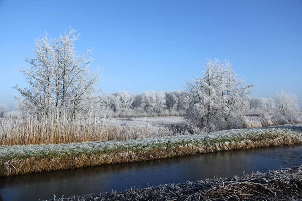 Eine Schöne Aufnahme Von Naturschutzgebiet Mit Schneebedeckten Bäumen — Stockfoto