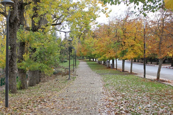 Uma Bela Foto Parque Outono — Fotografia de Stock