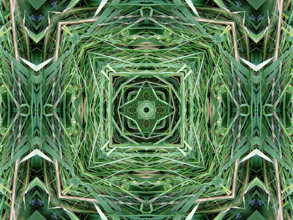 Patrón Caleidoscopio Abstracción Verde Formando Mandala Medio —  Fotos de Stock