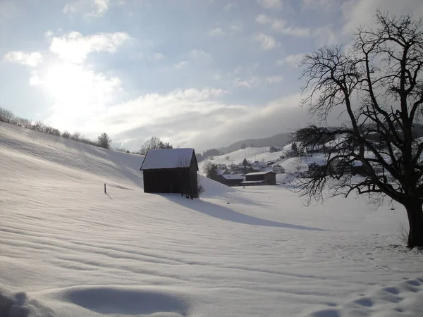 Sviçre Kış Manzarası Appenzell Ausserrhoden Walzenhausen — Stok fotoğraf