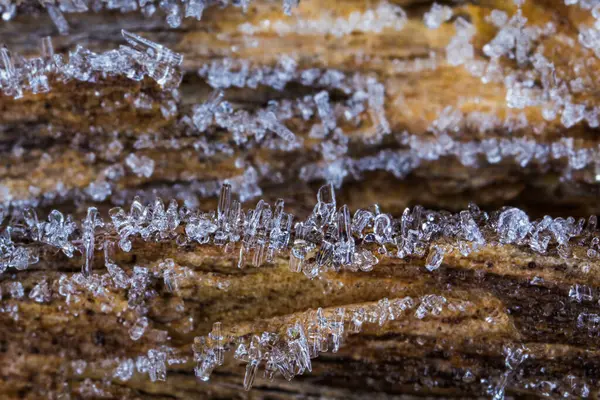 Närbild Naturlig Trä Efter Kall Natt — Stockfoto