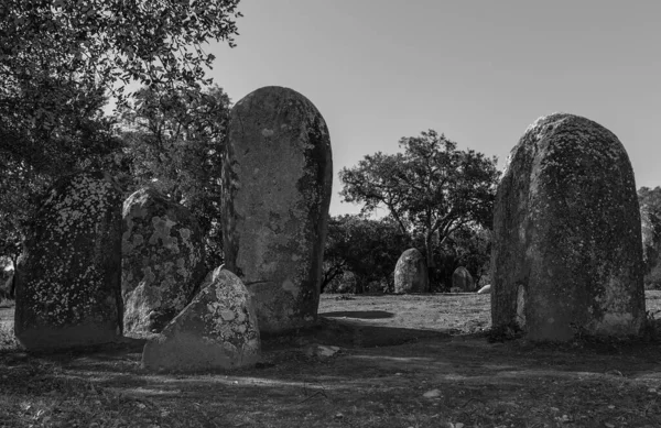 Monumento Megalitico Recinzione Almendres Spagna — Foto Stock