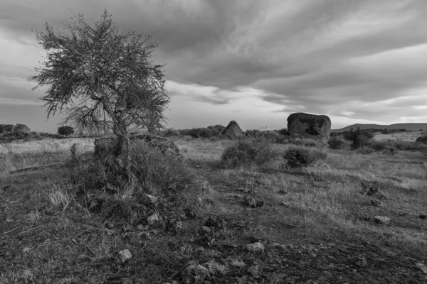 Grayscale Záběr Krajiny Přírodní Oblasti Barrueco Španělsko — Stock fotografie