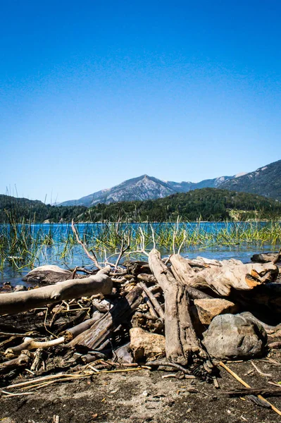 Una Vista Vertical Del Lago Con Bosque Una Colina Fondo — Foto de Stock