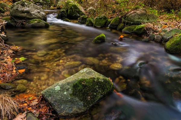 森林里一条流淌在布满苔藓的岩石上的溪流迷人的景象 — 图库照片