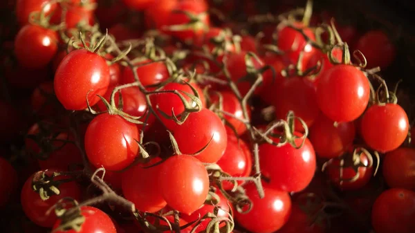 Gros Plan Tomates Cerises Les Unes Sur Les Autres — Photo