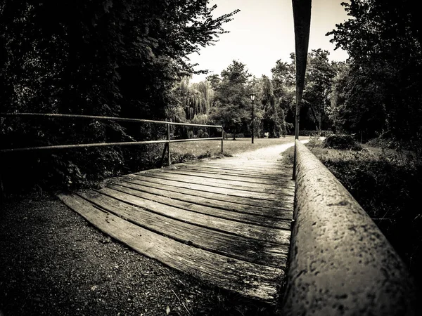 一座通向美丽的木桥的灰度照片 — 图库照片