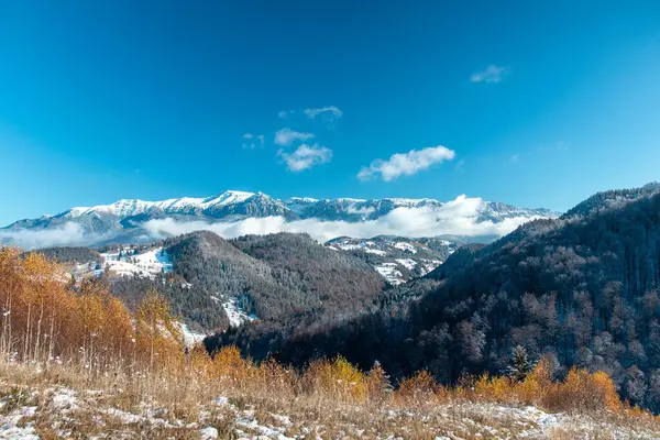 Kışın Karlı Ormanlarla Kaplı Dağlarla Kaplı Güzel Bir Vadi Manzarası — Stok fotoğraf