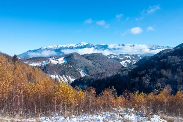 Hermoso Paisaje Valle Con Las Montañas Cubiertas Bosques Nevados Invierno —  Fotos de Stock