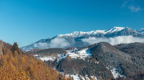 Красиві Пейзажі Долини Горами Вкритими Сніговими Лісами Взимку — стокове фото