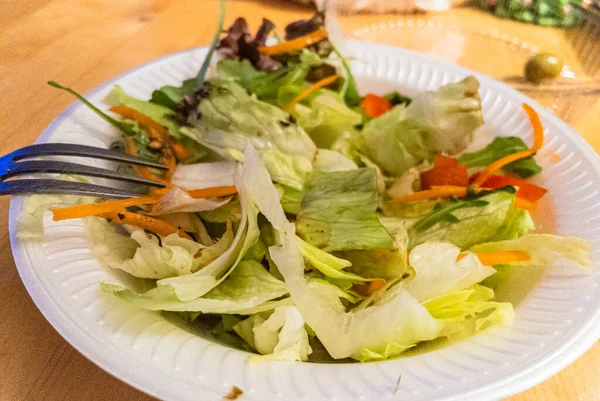 Selektivní Záběr Vegetariánského Salátu Salátem Mrkví Pepřem Zelení — Stock fotografie