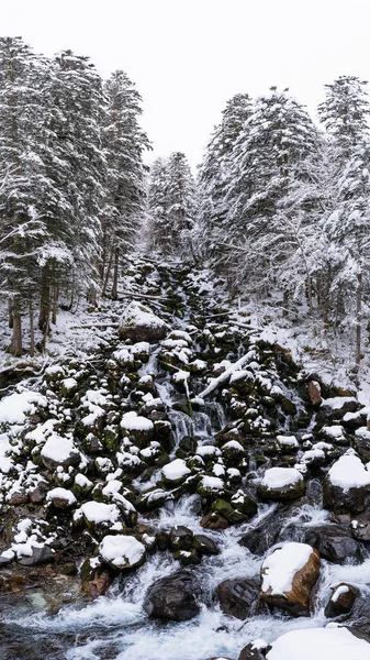 Plan Vertical Une Minuscule Cascade Dans Une Forêt Hiver — Photo