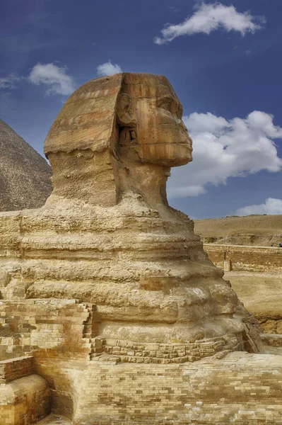 Вертикальний Знімок Бокового Профілю Великого Сфінкса Гізи Єгипет — стокове фото
