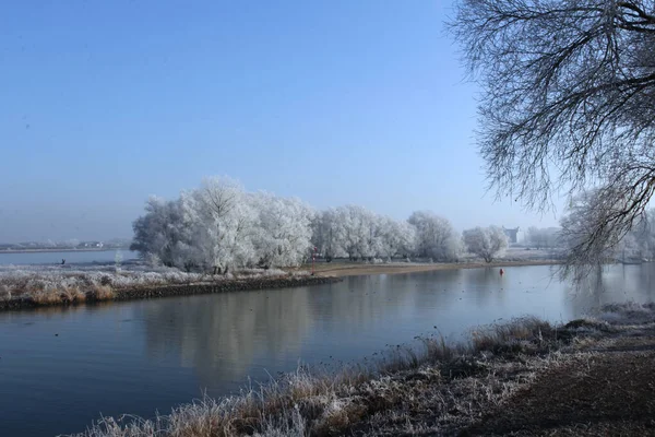 Eine Schöne Aufnahme Eines Flusses Mit Wintergefrorenen Bäumen Entlang — Stockfoto