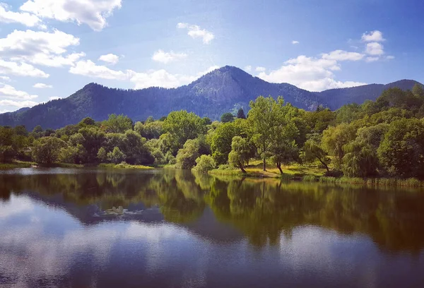 Belo Tiro Reflexo Árvores Lago — Fotografia de Stock