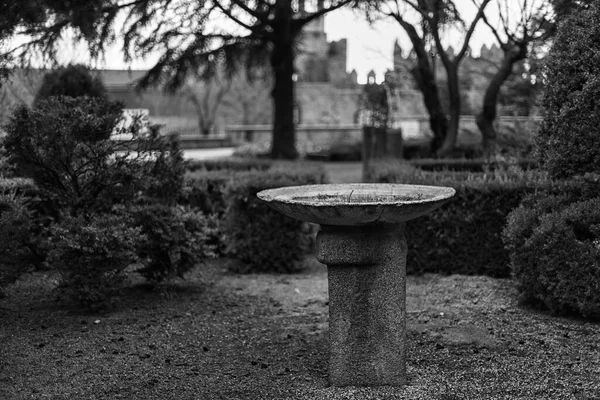 Plan Niveaux Gris Une Fontaine Boire Avila Espagne — Photo