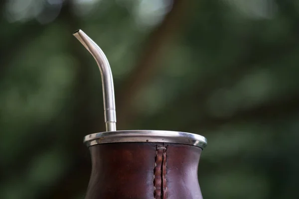 Una Toma Selectiva Enfoque Una Taza Mate Calabaza Con Paja —  Fotos de Stock