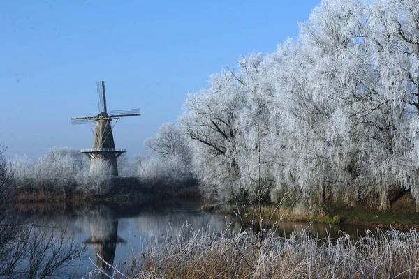 Krásný Záběr Zimní Zasněžené Stromy Řeky Větrným Mlýnem Pozadí — Stock fotografie