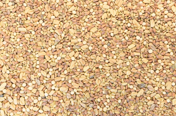Strzał Bliska Stosu Nasion Sezamu — Zdjęcie stockowe