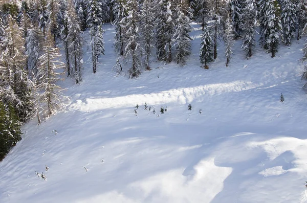 Das Schneebedeckte Fex Tal — Stockfoto