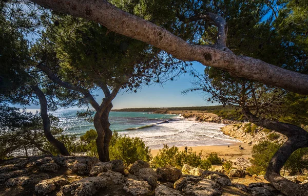 Piękne Ujęcie Wybrzeża Drzewami Skałami Pierwszym Planie — Zdjęcie stockowe