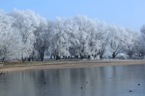 Eine Schöne Aufnahme Eines Flusses Mit Wintergefrorenen Bäumen Entlang — Stockfoto