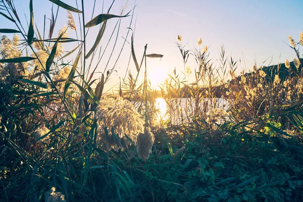 Eine Schöne Aufnahme Eines Sees Bei Sonnenuntergang — Stockfoto