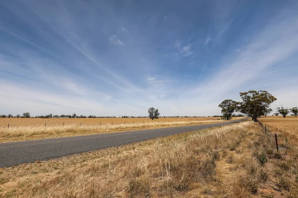 Beautiful View Country Road Blue Sky — Stock Photo, Image