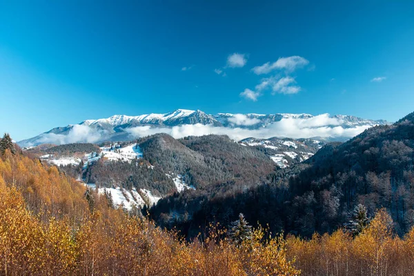 Uma Bela Paisagem Vale Com Montanhas Cobertas Florestas Nevadas Inverno — Fotografia de Stock