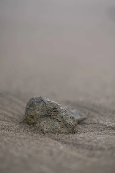 Вертикальный Кадр Камня Песчаном Пляже — стоковое фото