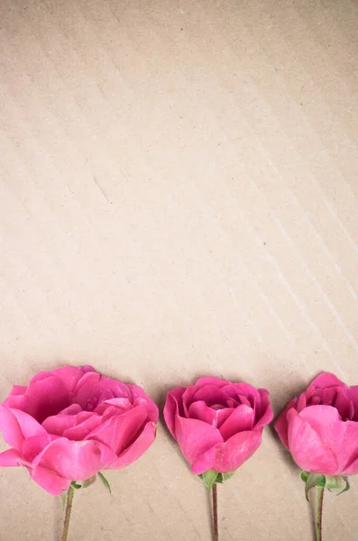 Una Toma Vertical Tres Flores Rosas Magenta Una Superficie Cartón — Foto de Stock