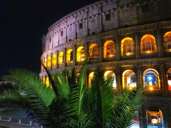 イタリア ローマの夜の緑に囲まれたコロッセオ — ストック写真