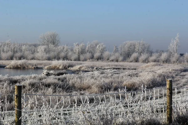 Eine Wunderschöne Winterlandschaft Mit Einem Ruhigen See Und Frostbedeckten Bäumen — Stockfoto