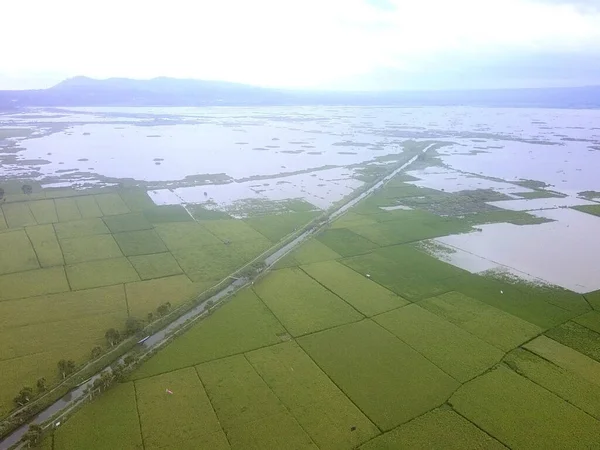 Aerial View Paved Highway Crossi Cultivated Agricultural Field — Stock Photo, Image