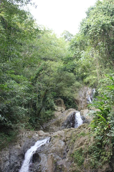 Uma Foto Cachoeiras Argyle Caribe Roxborough Trinidad Tobago — Fotografia de Stock