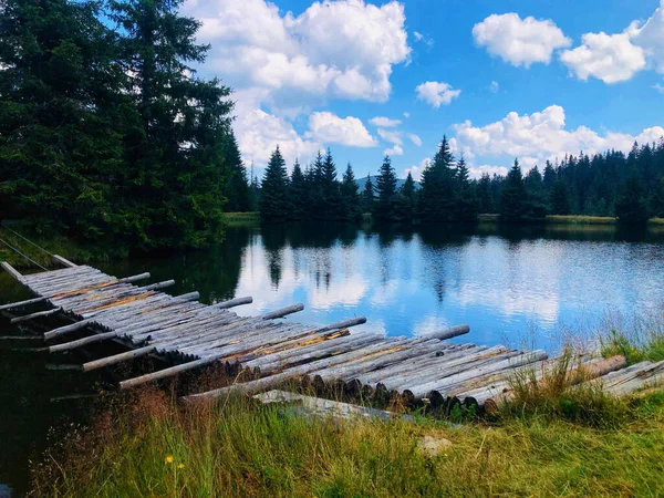 青い空の下の森の中の湖の上の木製の手作りの橋 — ストック写真