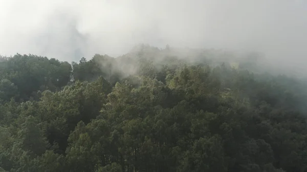 霧深い空の下で美しい山々の魅惑的なショット — ストック写真