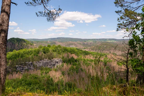 Belo Tiro Montanhas Visto Através Campo Selvagem — Fotografia de Stock