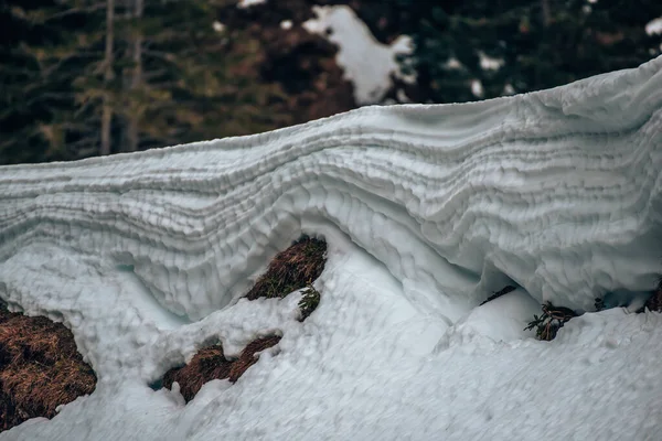 Селективный Фокусный Снимок Слоя Снега Над Гра — стоковое фото