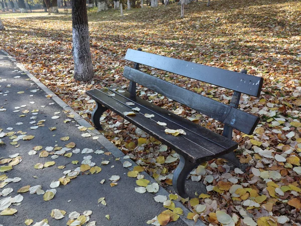 공원에 의자를 클로즈업 — 스톡 사진